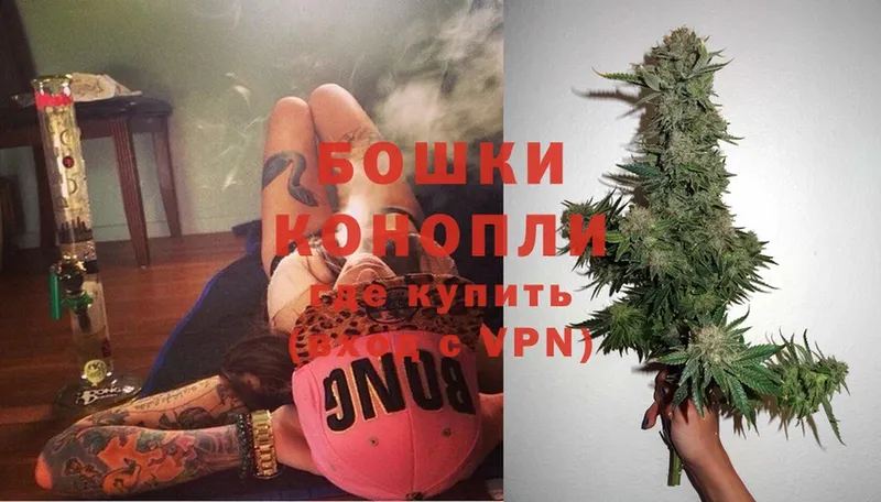 где найти   Апшеронск  Конопля Ganja 